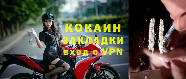 ешки Бронницы