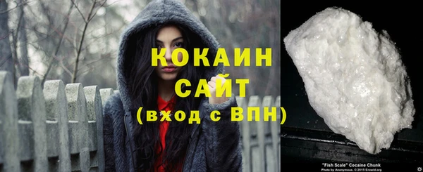 ешки Бронницы